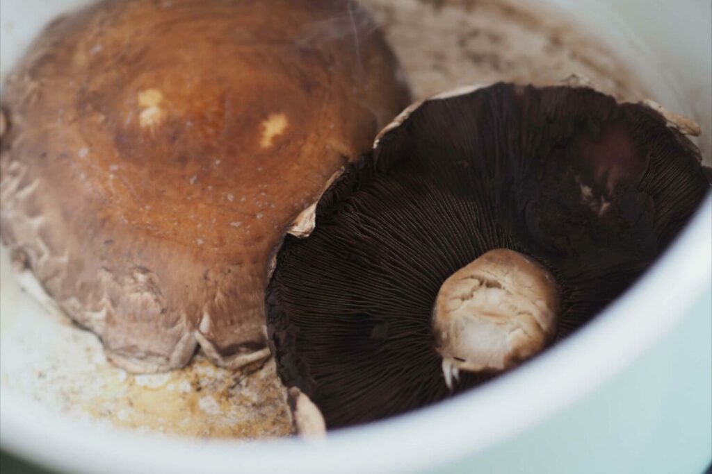 Portobello braten
