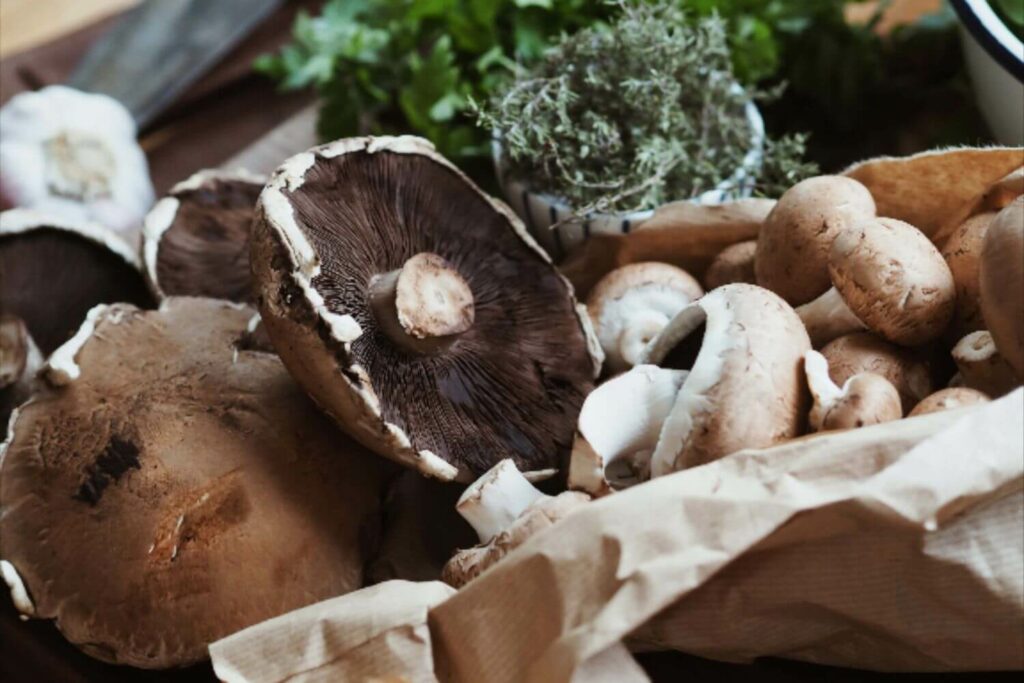 Portobello Mushroom
