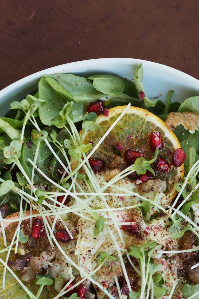 Salat als Vorspeise 