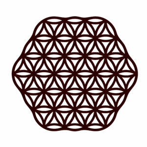 Topfuntersetzer Rindleder | Pfannenuntersetzer Leder Lochmuster | Untersetzer Lasercut | Wunschleder